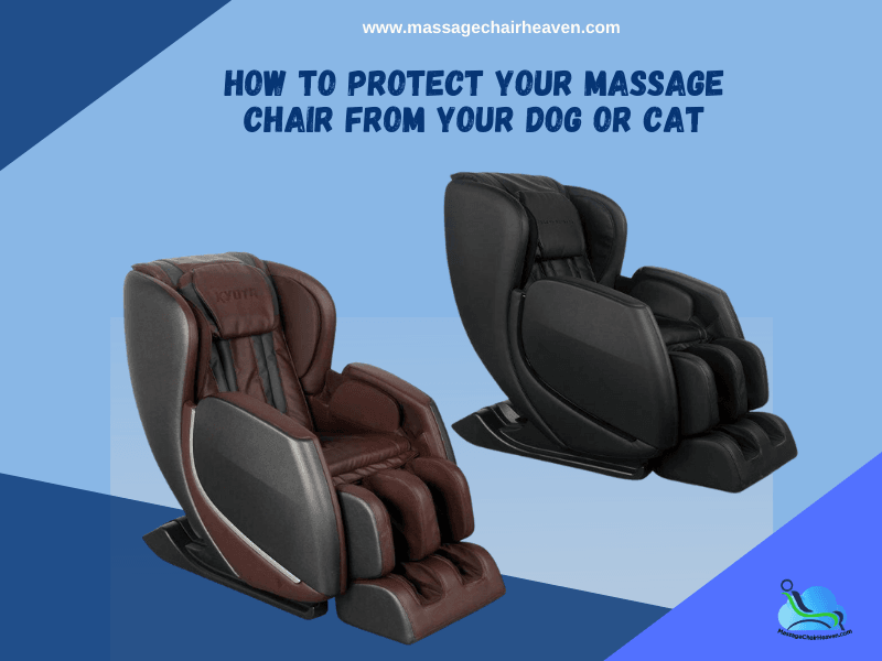 How to Protect Your Massage Chair from Your Dog or Cat - Massage Chair Heaven