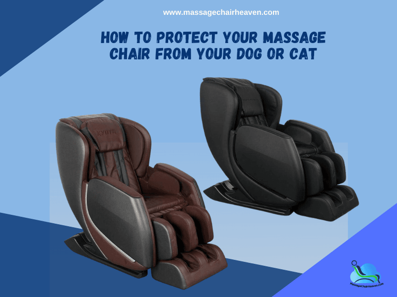How to Protect Your Massage Chair from Your Dog or Cat ?