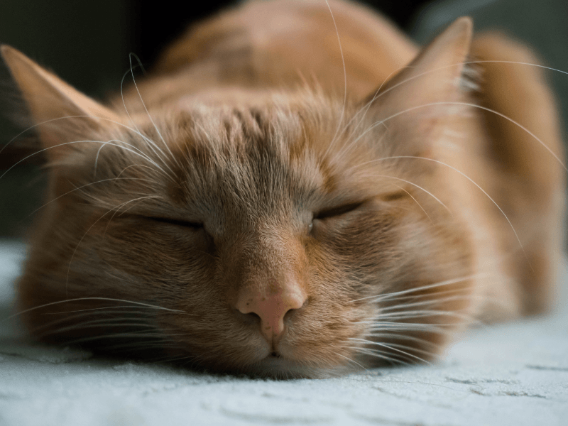 What are the ways to relax after work ?