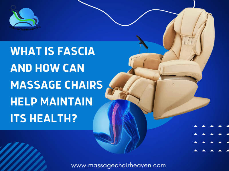 What Is Fascia and How Can Massage Chairs Help Maintain Its Health