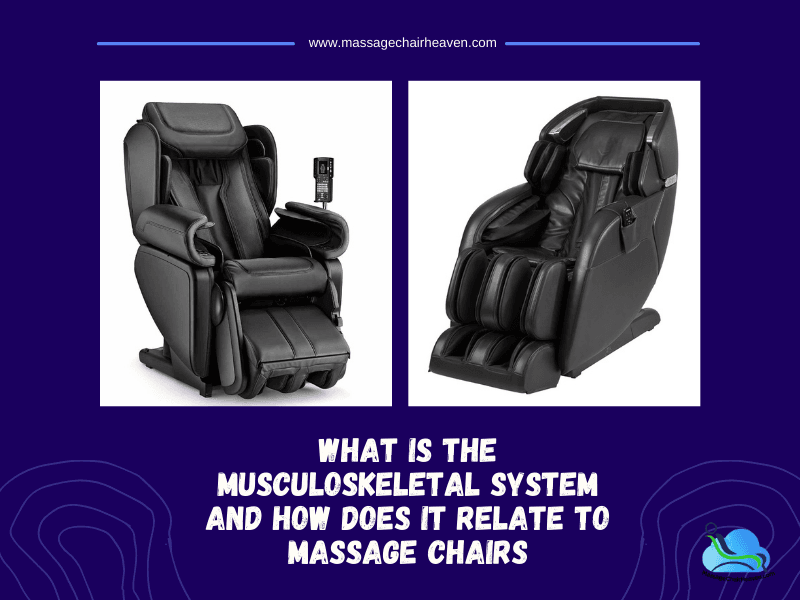 What Is The Musculoskeletal System And How Does It Relate To Massage Chairs? - Massage Chair Heaven